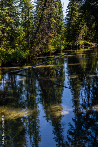 Fenland Trail, Banff National Park, Alberta, Canada