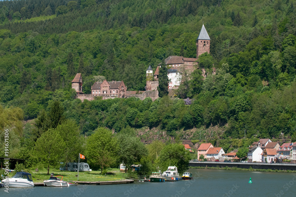Burg Zwingenberg am Neckar