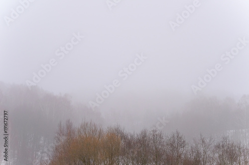 Winter foggy landscape.
