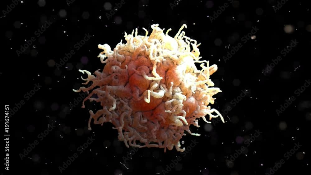 3D Rendering scanning electron microscope image of a white blood cell.
