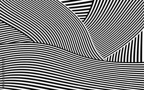 Zebra Design Black and White Stripes Vector