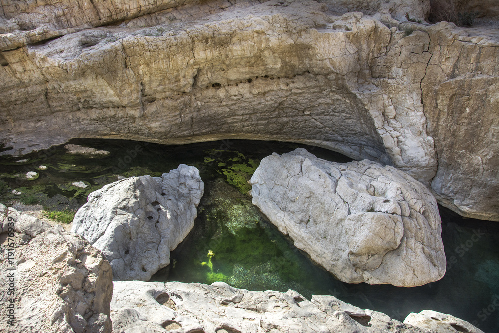Green Water in Wadi Bani Khalid