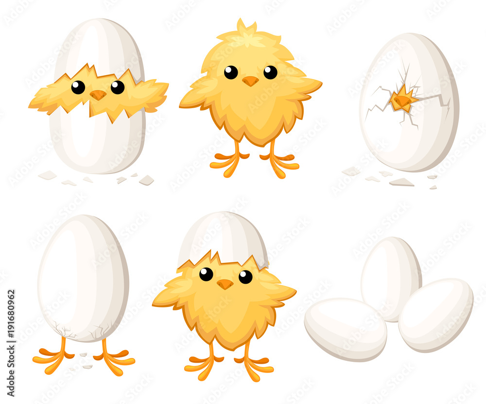 Egg Shell Clip Art