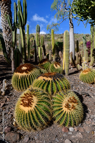 Cactualdea Park, Gran Canaria photo