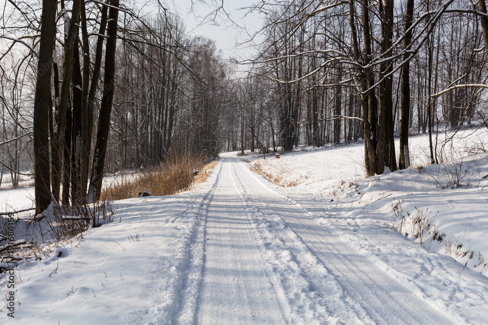 Winter landscape with snowy trees and snowmobile path Winter landscape with snowy trees and snowmobile path