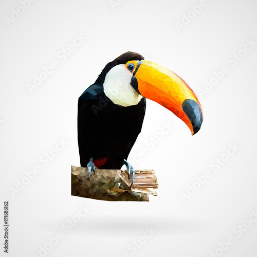 Colorful polygonal toucan bird, Vector, Illustration, Eps File