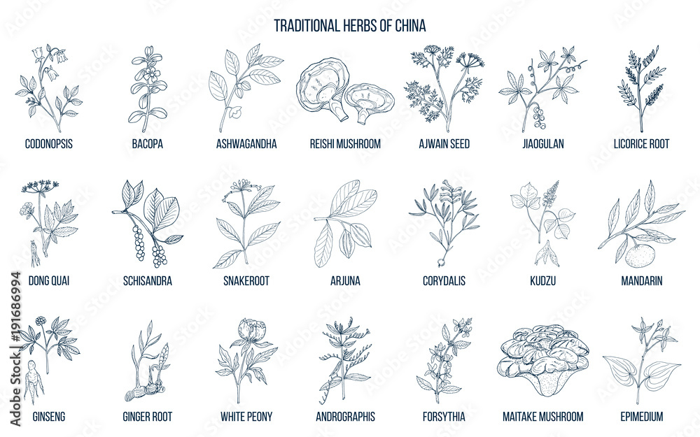 Obraz premium Chińskie tradycyjne zioła lecznicze