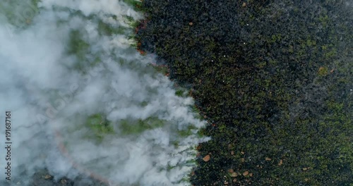Vertical aerial shot flying over burning green grass high contrast 4K
