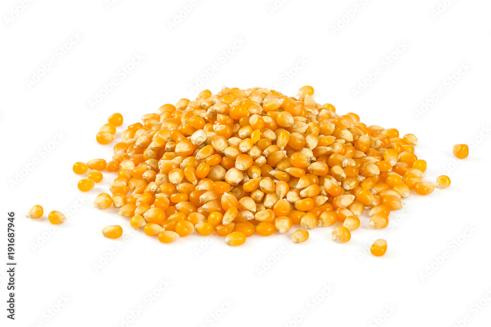 pile of dried corn isolated on white background pile of dried corn isolated on white background