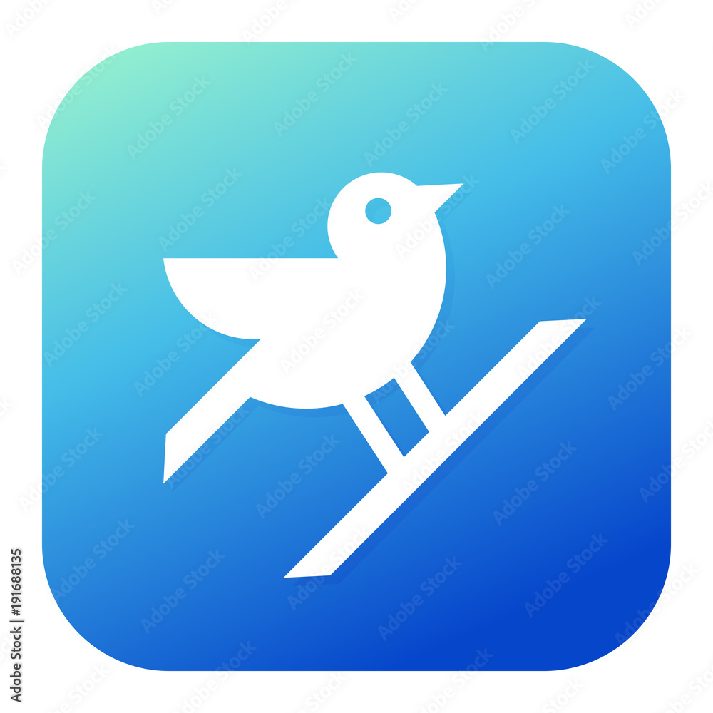 bird-icon copy bird-icon copy