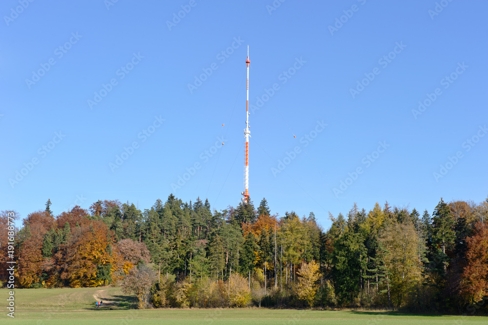 Obraz premium Raichberg mit SWR-Sendemast
