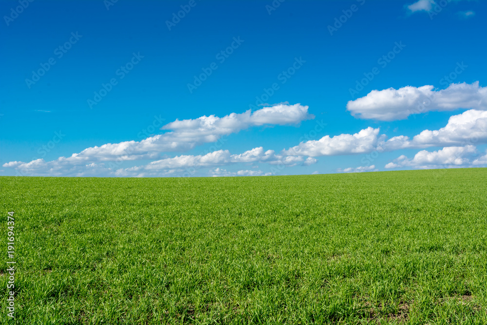 Horizontal View of a Countryside Landscape With a Green Meadow on Cloudy Sky Background in a Sunny Day. Matera, South of Italy