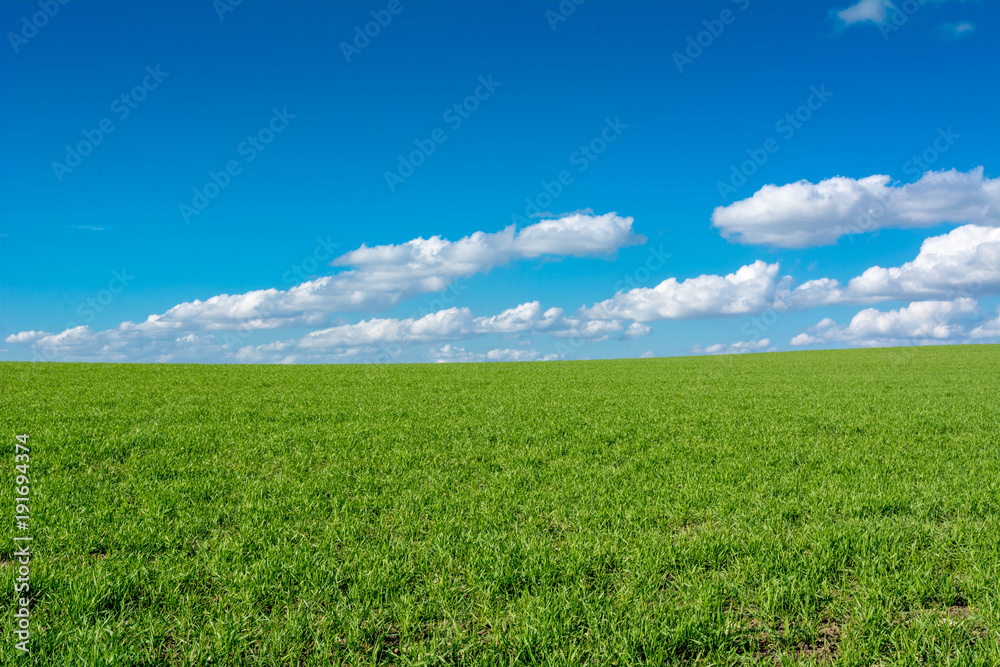 Obraz premium Horizontal View of a Countryside Landscape With a Green Meadow on Cloudy Sky Background in a Sunny Day. Matera, South of Italy