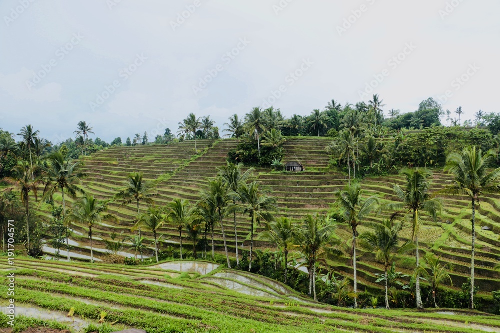 landscape landscape