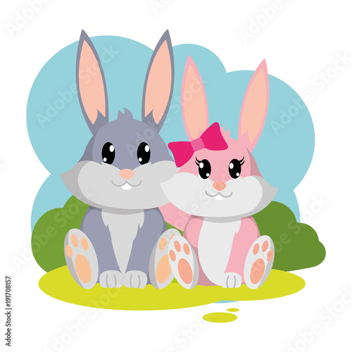 colorful rabbit couple cute animal in the landscape