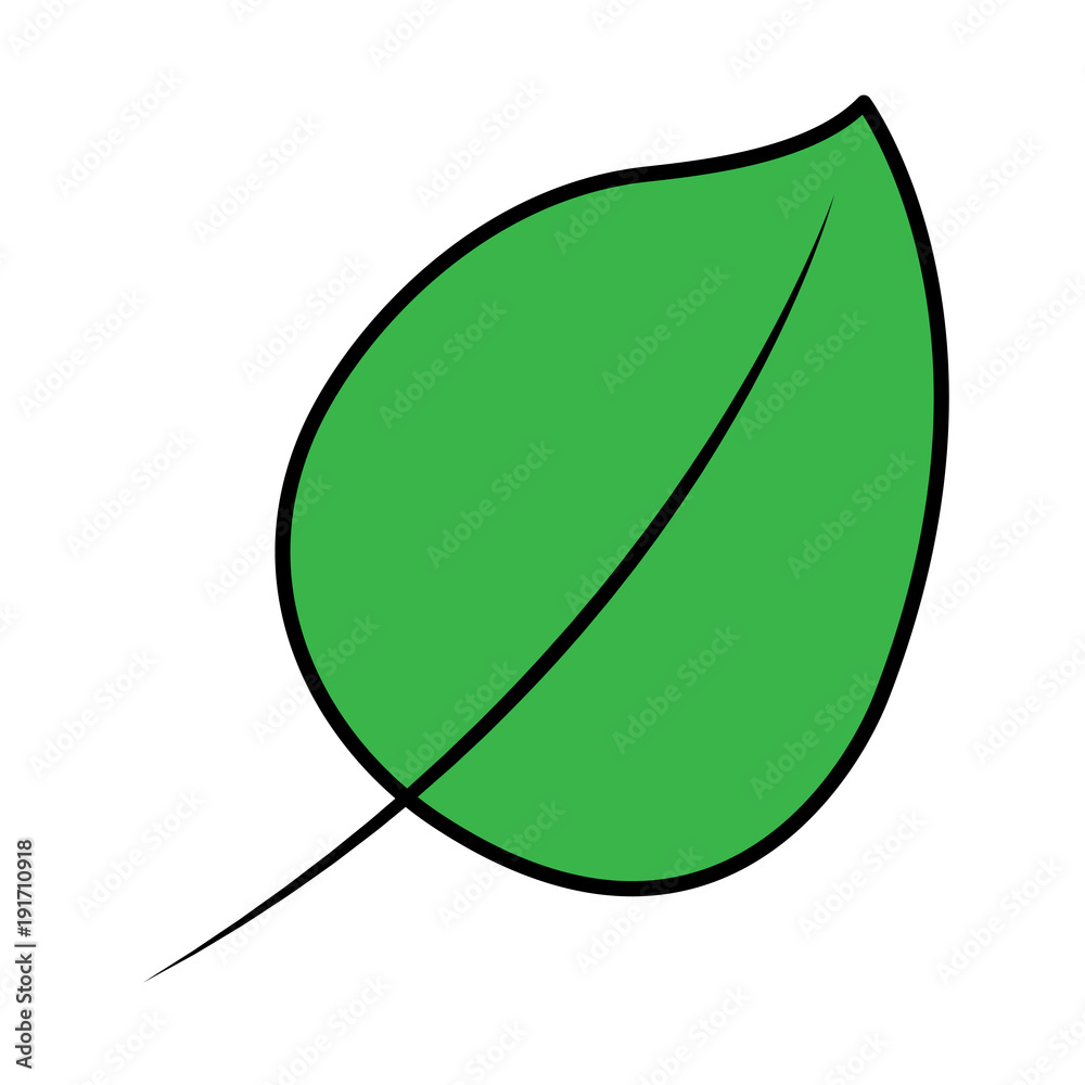 Naklejka premium green leaf natural foliage decoration icon vector illustration