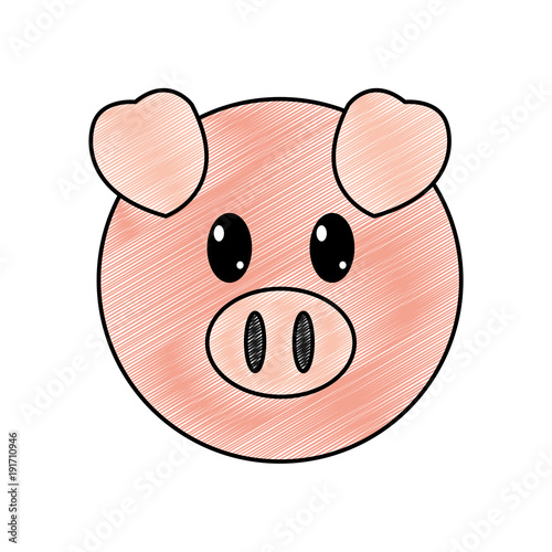 grated pig head cute animal character