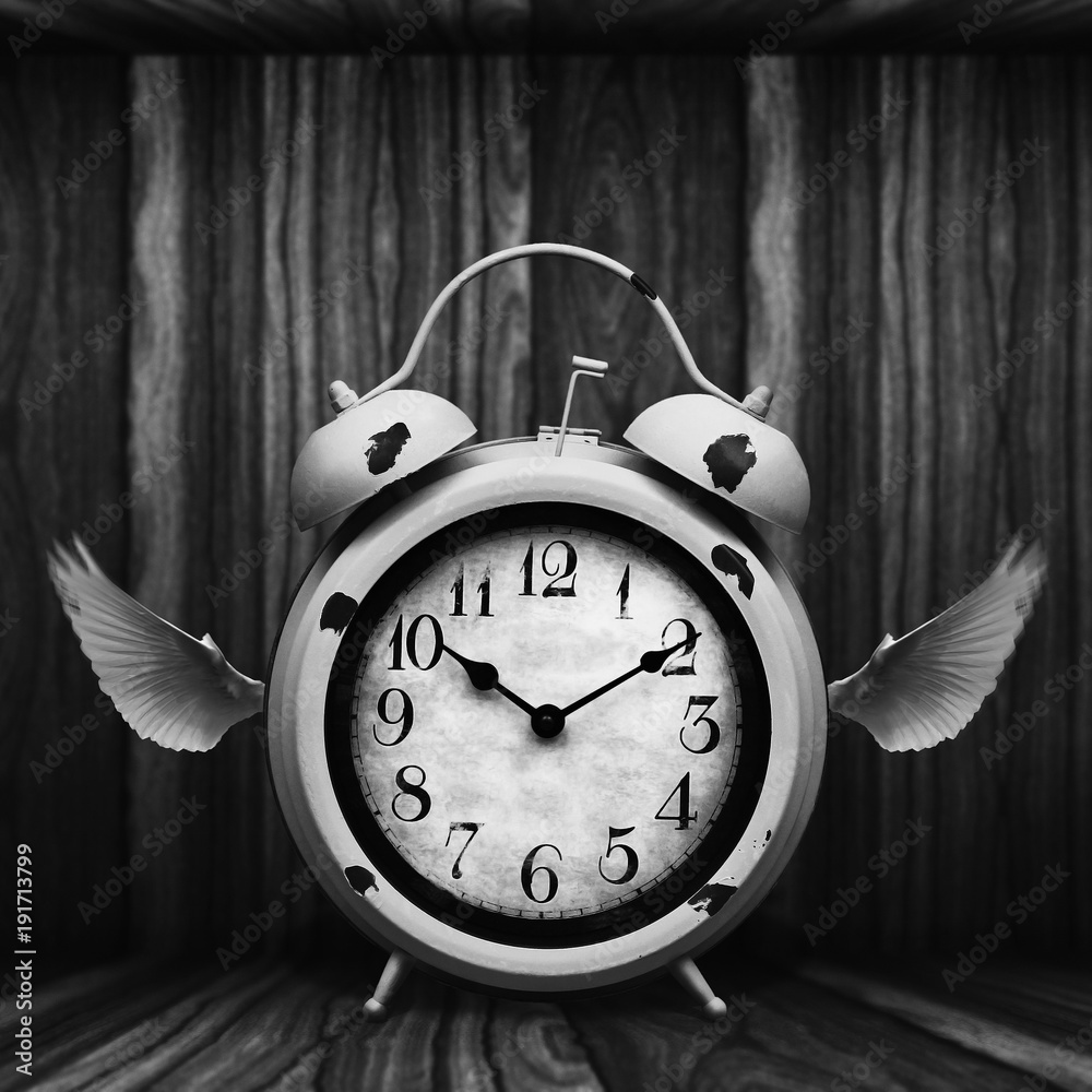 Vintage clock boxed in to keep time from flying away. Image shows how