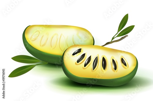 Photo Realistic 3d vector pulp and seeds with leaves isolated on white background papaya papaw fruit (asimina triloba), custard apple, or pawpaw plant Carica papaya, genus Carica 