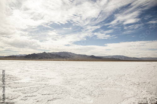 Desert Saltflats