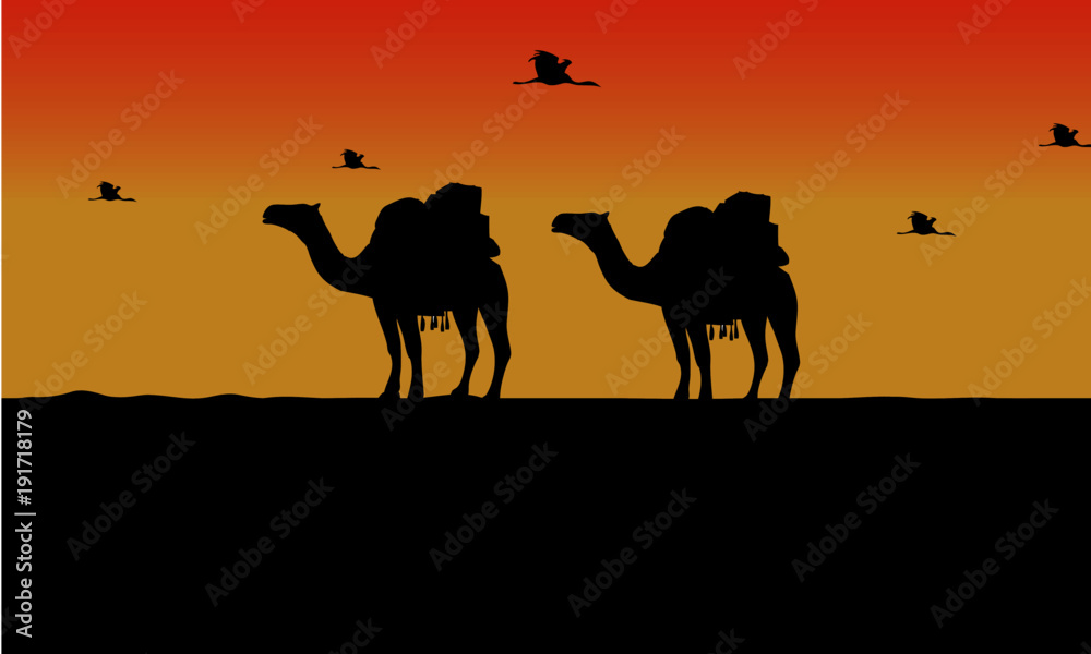 Fototapeta premium camel and bird