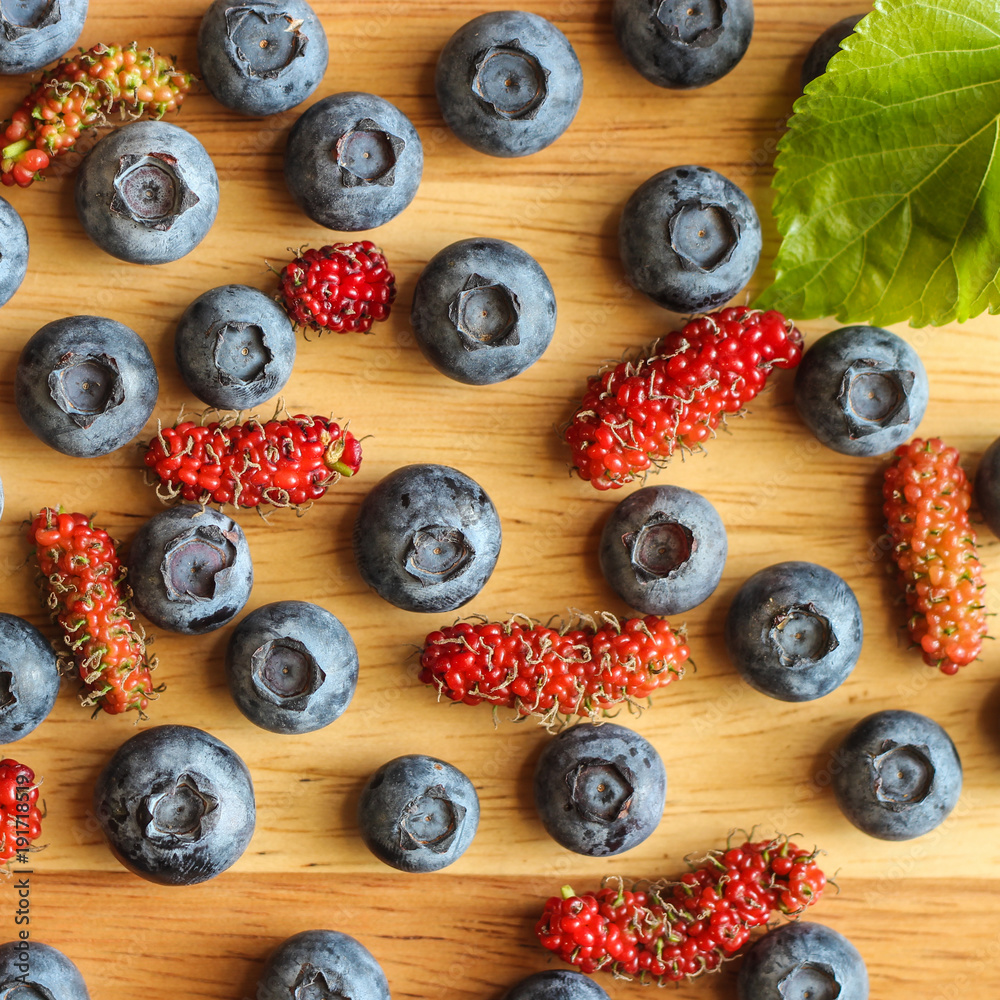 Freshly picked blueberries. Ripe and juicy fresh picked bilberries close up. Freshly picked blueberries. Ripe and juicy fresh picked bilberries close up.