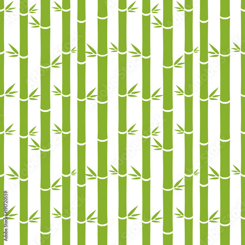 vector bamboo seamless pattern © twelve.std