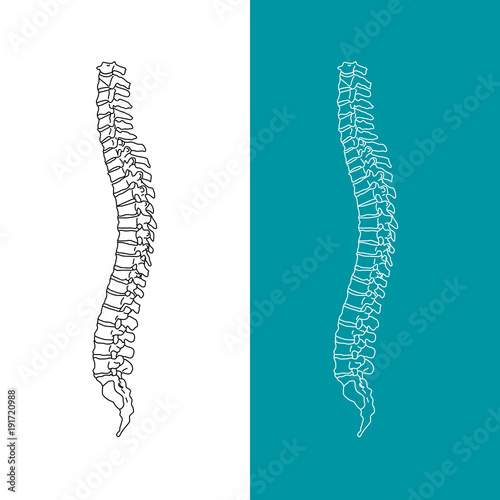 Vector illustration white spine diagnostic symbol, design, sign on blue background. Diagnostic center