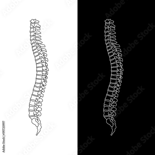 Vector illustration white spine diagnostic symbol, design, sign on blue background. Diagnostic center