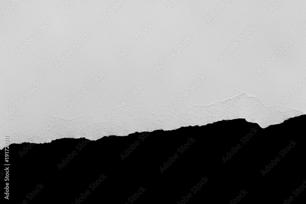 pieces of torn paper texture background, copy space. pieces of torn paper texture background, copy space.