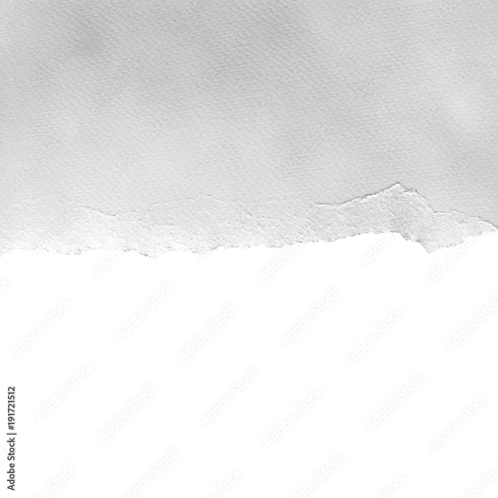 pieces of torn paper texture background, copy space. pieces of torn paper texture background, copy space.