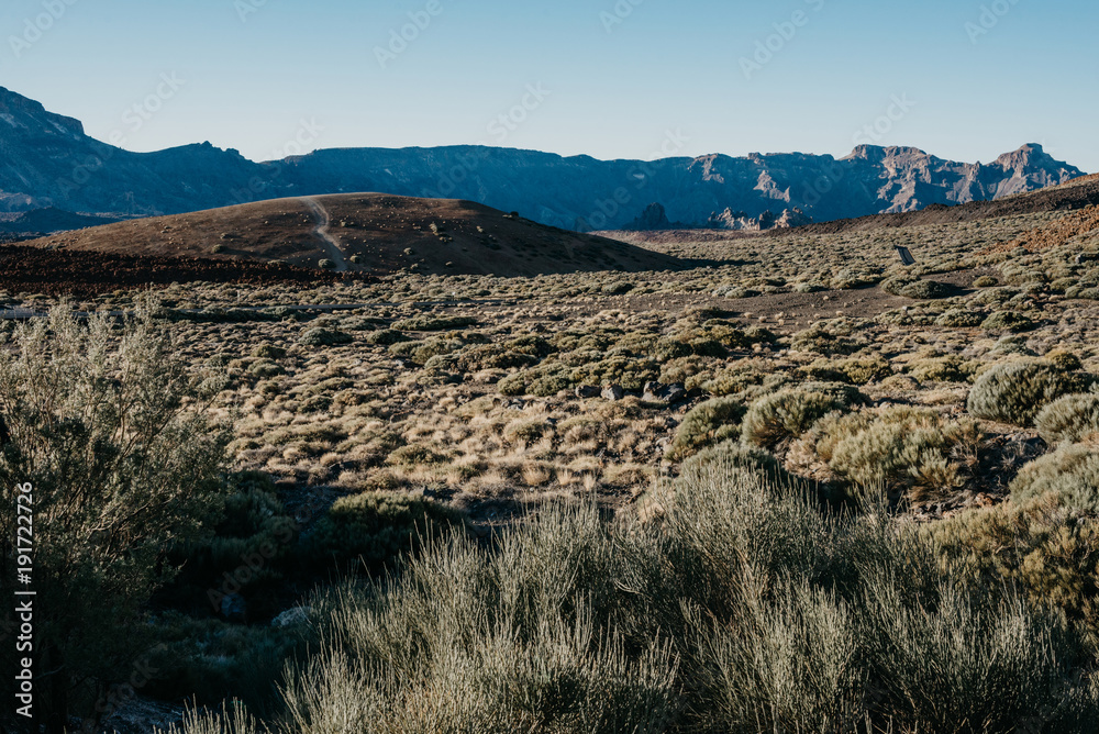 Naklejka premium Tableland with rocks, hill and plants 