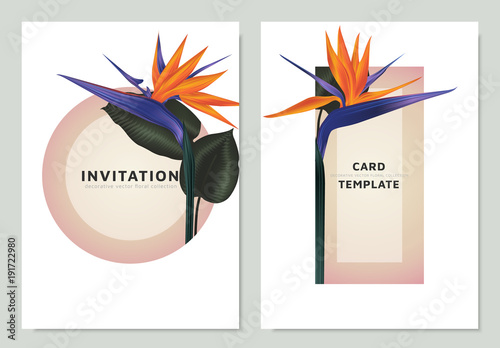 Bird of paradise flowers and leaves with pink circle and triangle frame,  invitation card template design