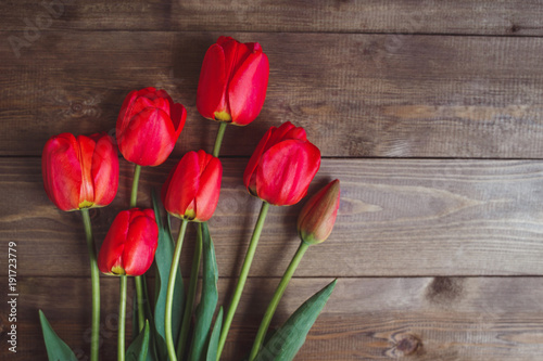 Red tulip. Tulips. Flower background. Flowers photo concept. Holidays photo concept. Copyspace