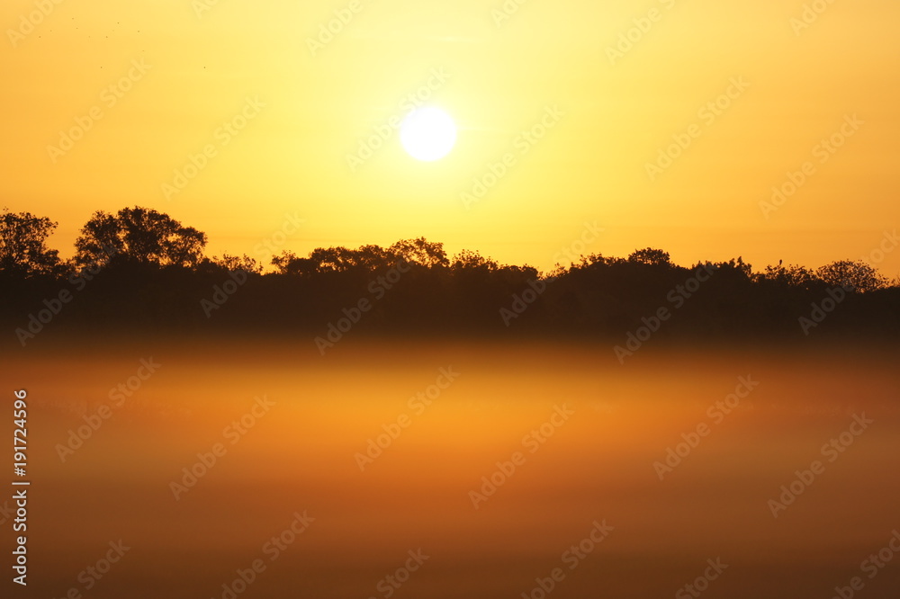 Obraz premium Quand le soleil et la brume font bon ménage