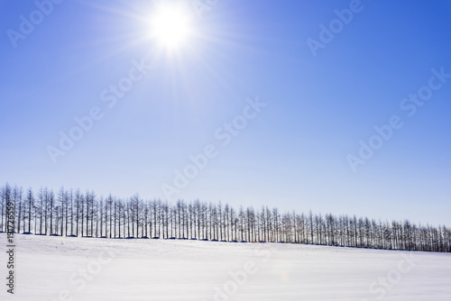 十勝平野の雪景色