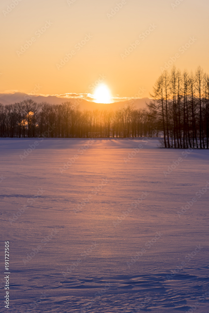 雪原へ沈む夕陽