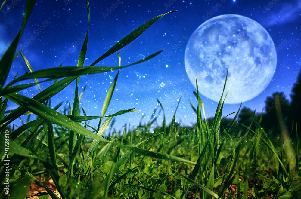 Fototapeta Surrealistyczna fantazja koncepcja - pełnia księżyca z gwiazdami brokat na tle nieba.