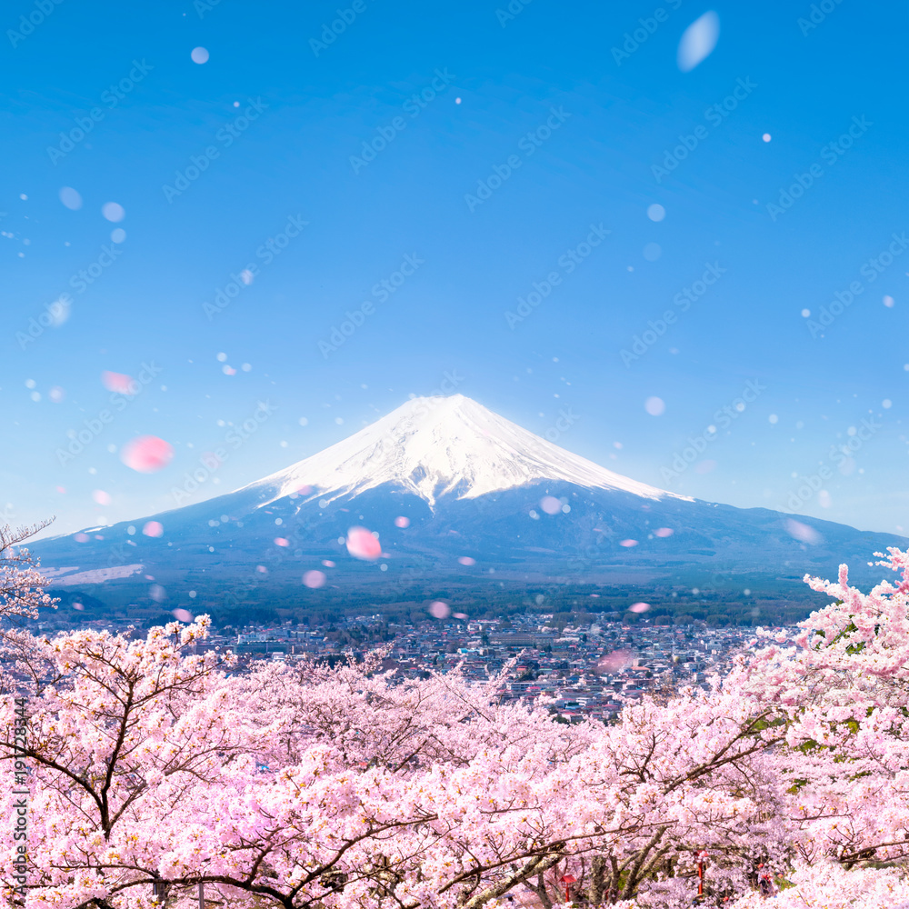 Obraz premium Góra Fuji wiosną z wiśniowymi kwiatami, Japonia