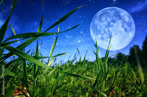 Fototapeta Surrealistyczna fantazja koncepcja - pełnia księżyca z gwiazdami brokat na tle nieba.