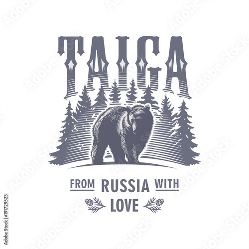 Тайга, медведь на фоне елей, Россия, иллюстрация, вектор