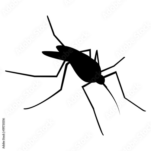 Vector image of a mosquito silhouette on a white background © Sergiy