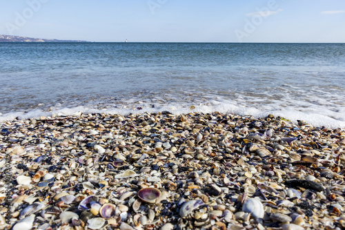 Black Sea Bulgaria with seashells on the beach