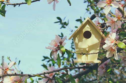 Little birdhouse in spring over blossom cherry tree. © tomertu