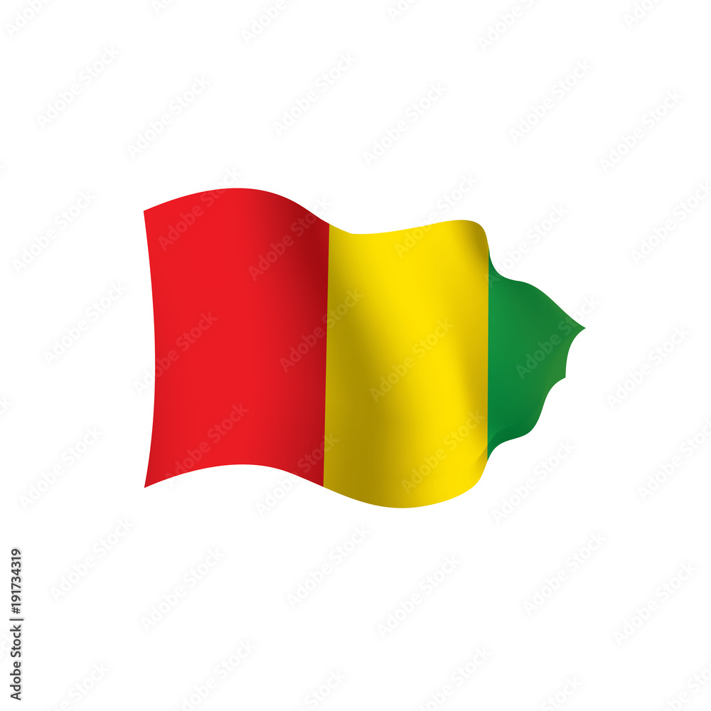 Fototapeta premium guinea flag, vector illustration