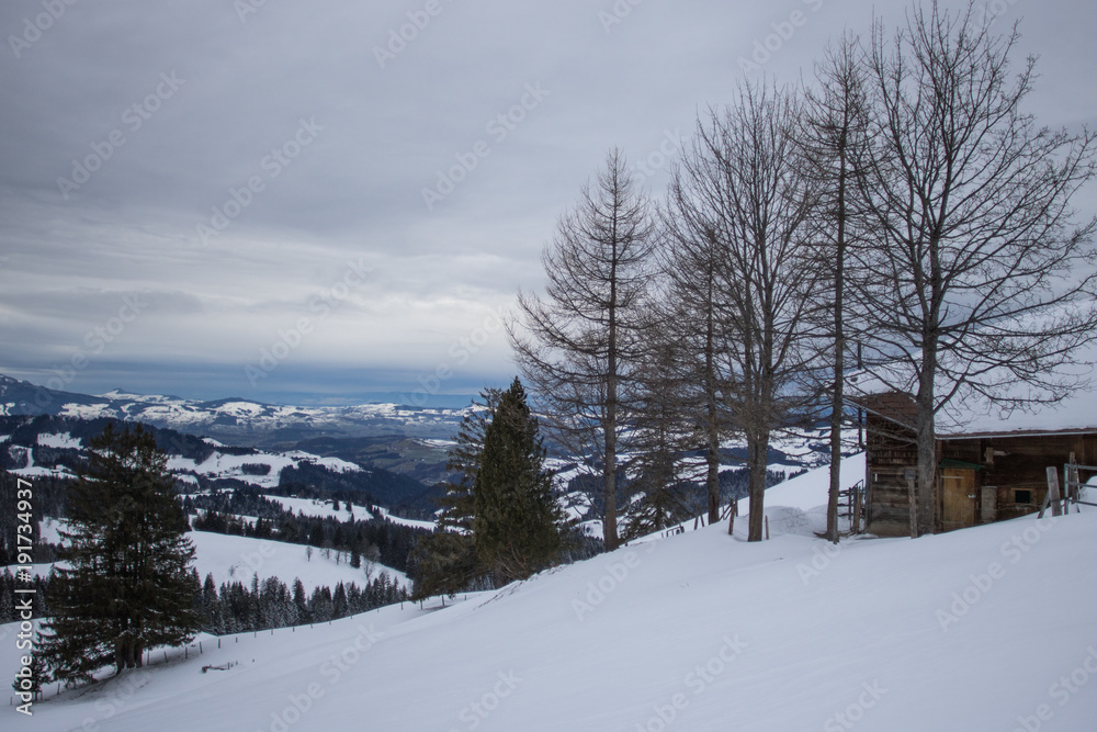 Obraz premium Bilder eines Schneetages in der Schweiz