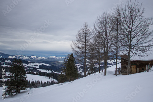Bilder eines Schneetages in der Schweiz © Sebastian