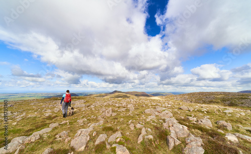 A female hiker and their dog walking off the summit of Great Borne towards Loweswater Fell. The English Lake District, UK.