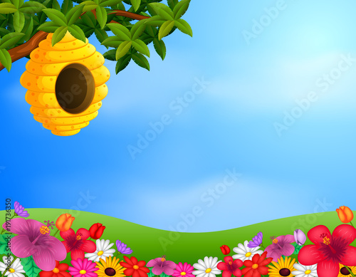 beehive in the garden