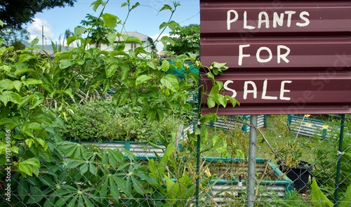 Plant sale sign on fence with passion fruit vines at a communal community garden 